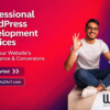 professional-wordpress-developer-conversions.webp