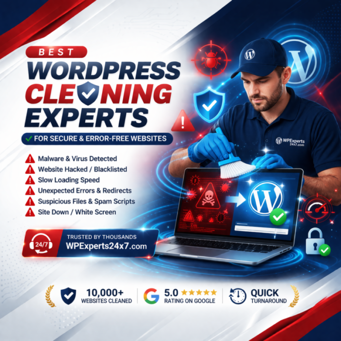 Best WordPress Cleaning Experts for Secure & Error-Free Websites