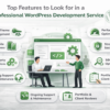 WordPress Development Service Features Guide with Performance, Security and SEO Optimization